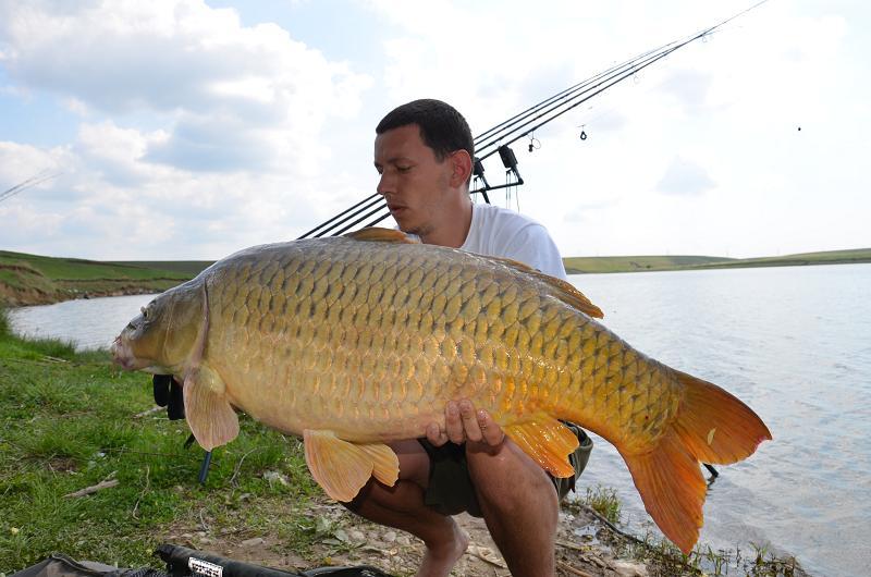 S-au vazut prima oara intr-o seara de mai